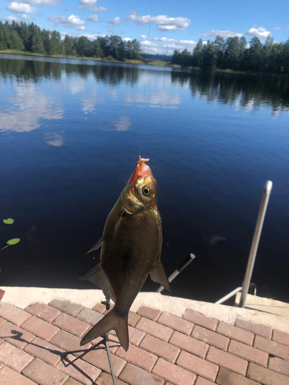 Фото Лесная сказка