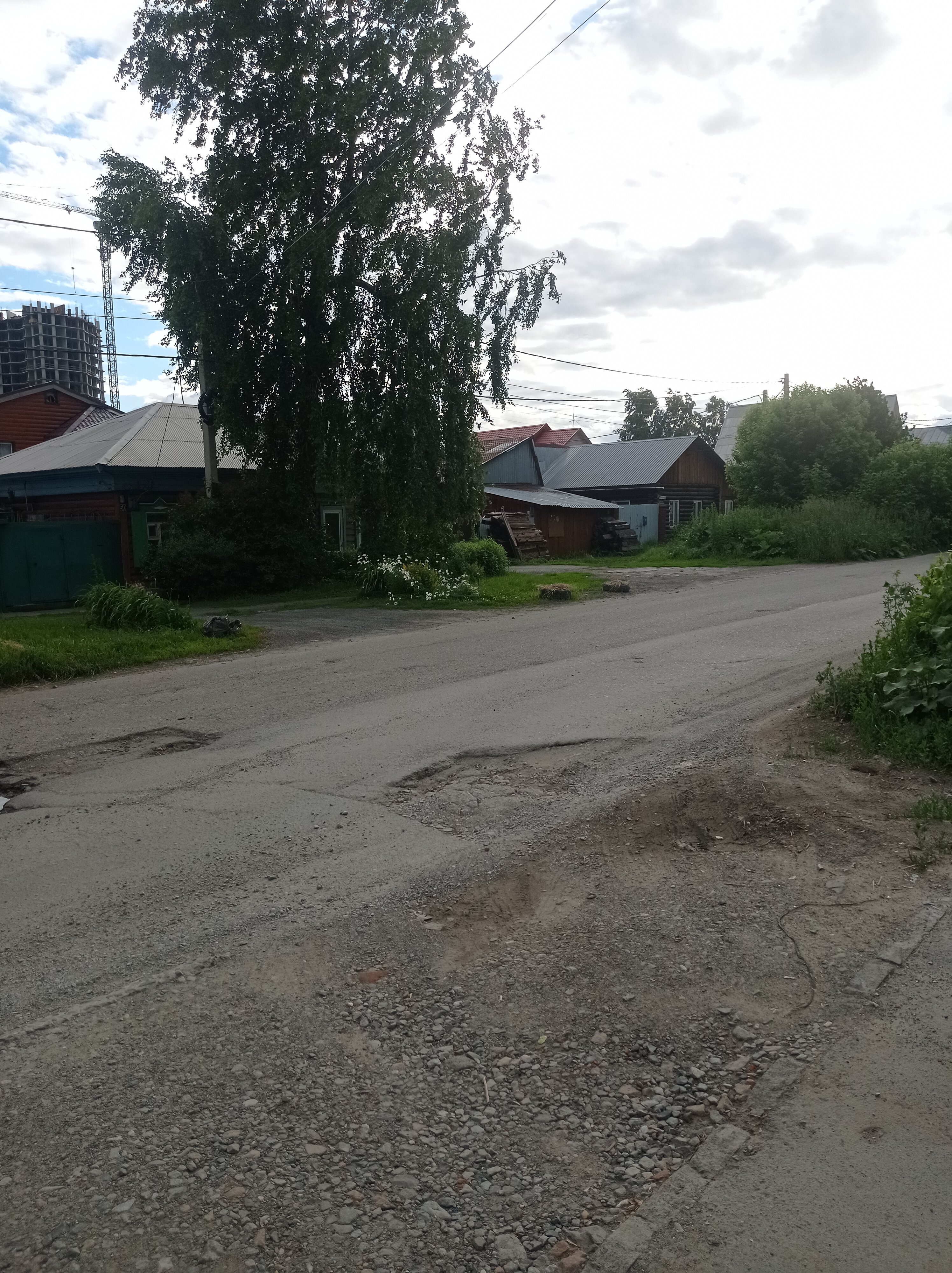 Фото Аврора