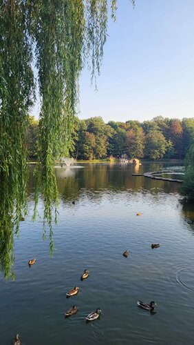 Baltic Resort на улице Московская  фото 6