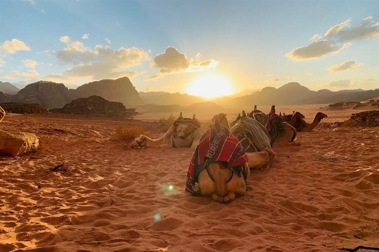 Фото Hasan Zawaideh Camp