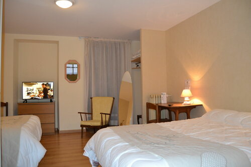 Гостиница Hotel du Lion Vert