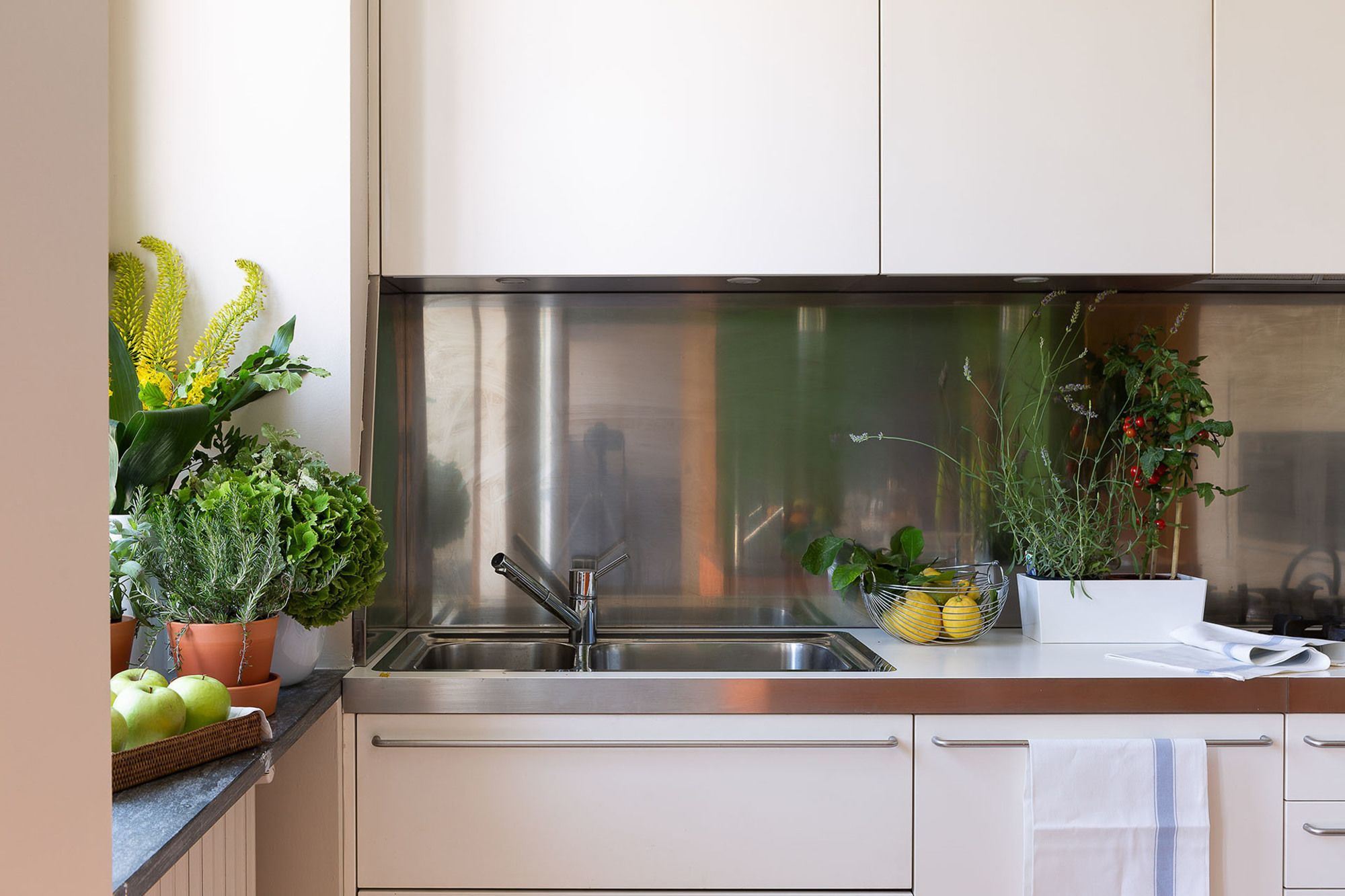 Фото Zebra Naviglio Foresteria Lombarda