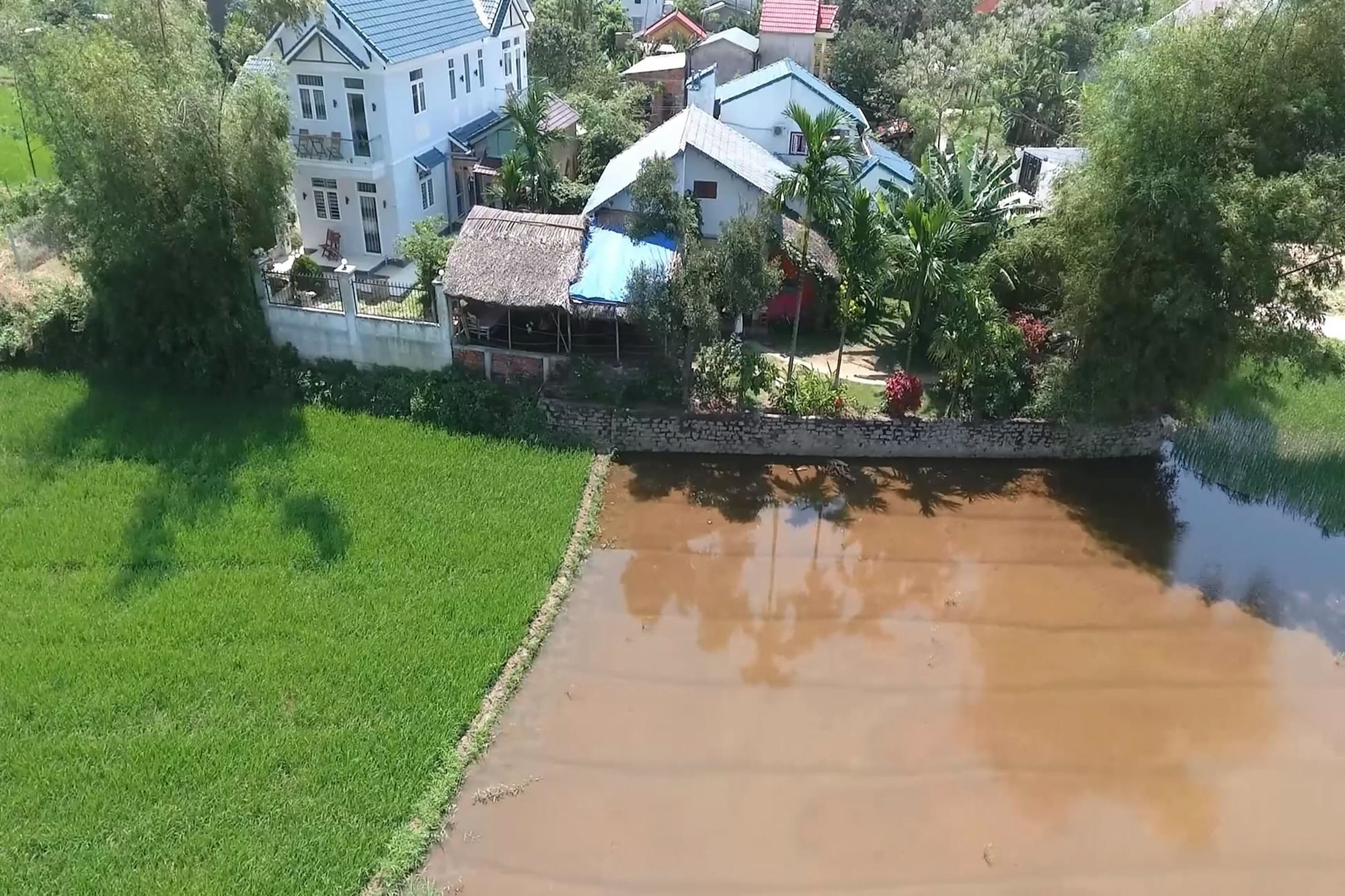 Фото La Terrazza
