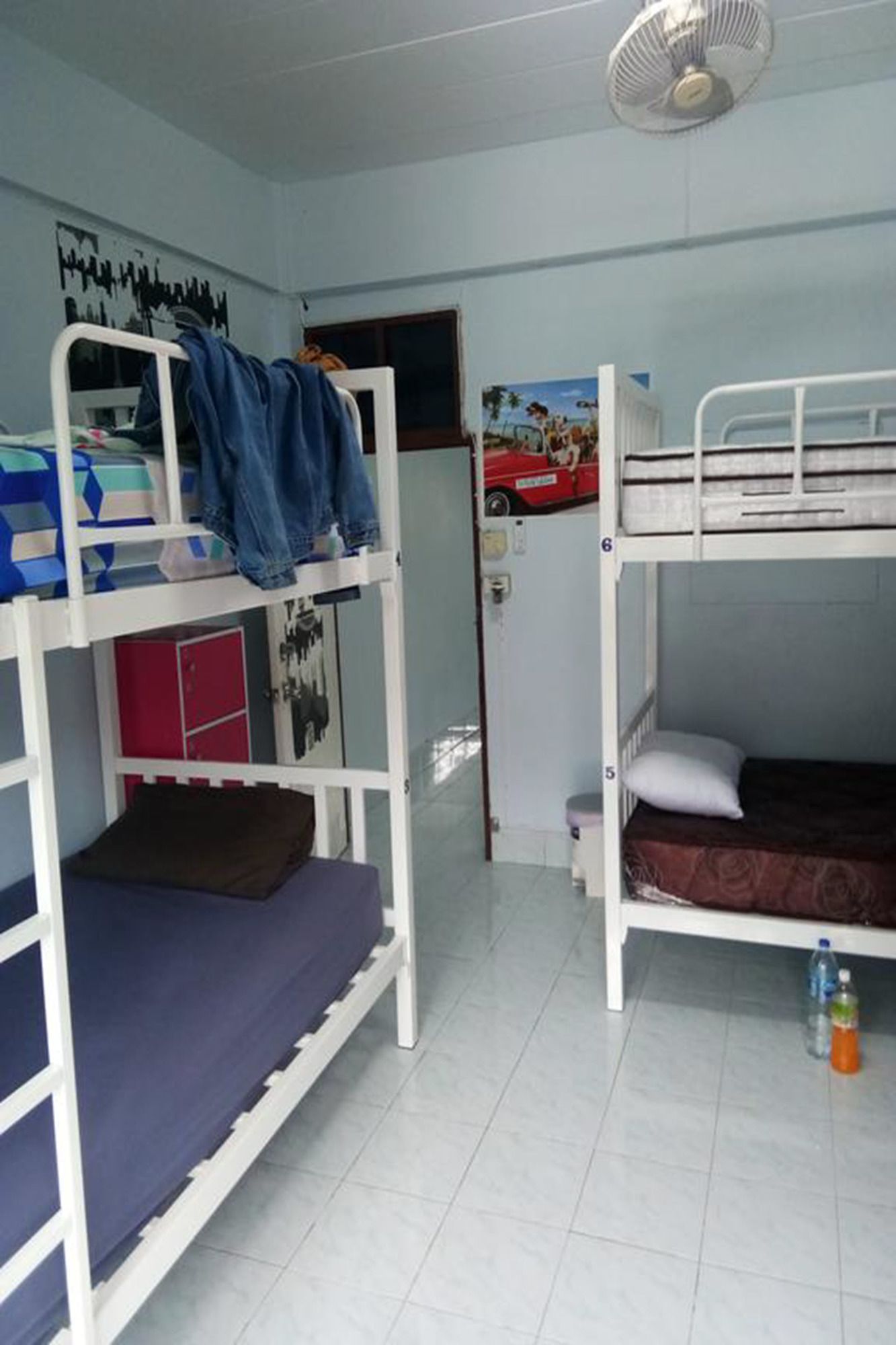 Фото Shady's Hostel