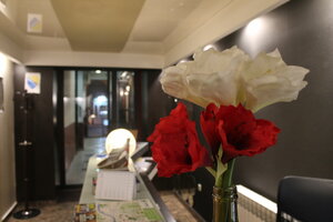 Гостиница Sokak