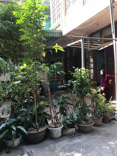 Гостиница Halo Bay Homestay в Халонге
