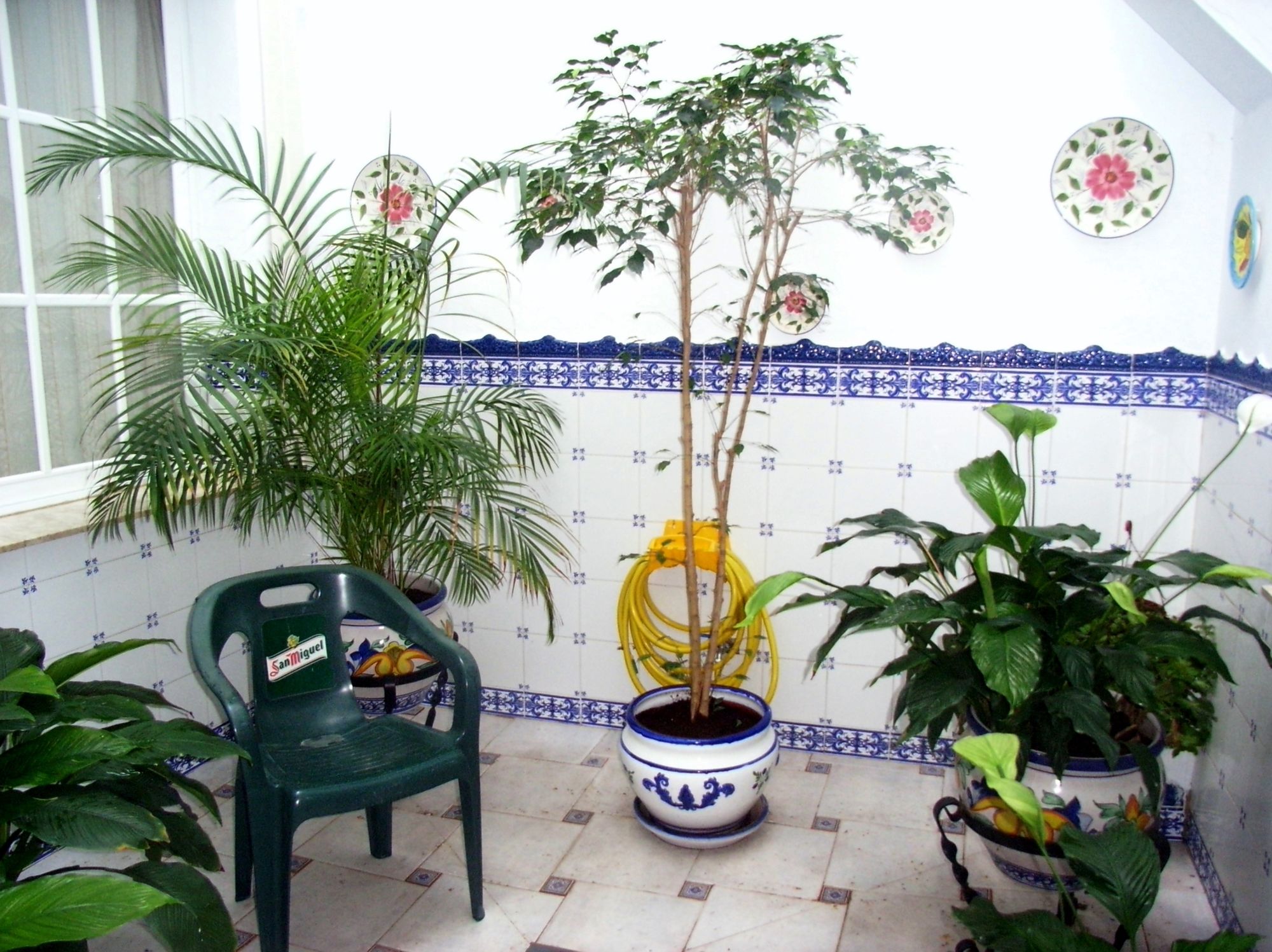 Фото Hostal Dianes