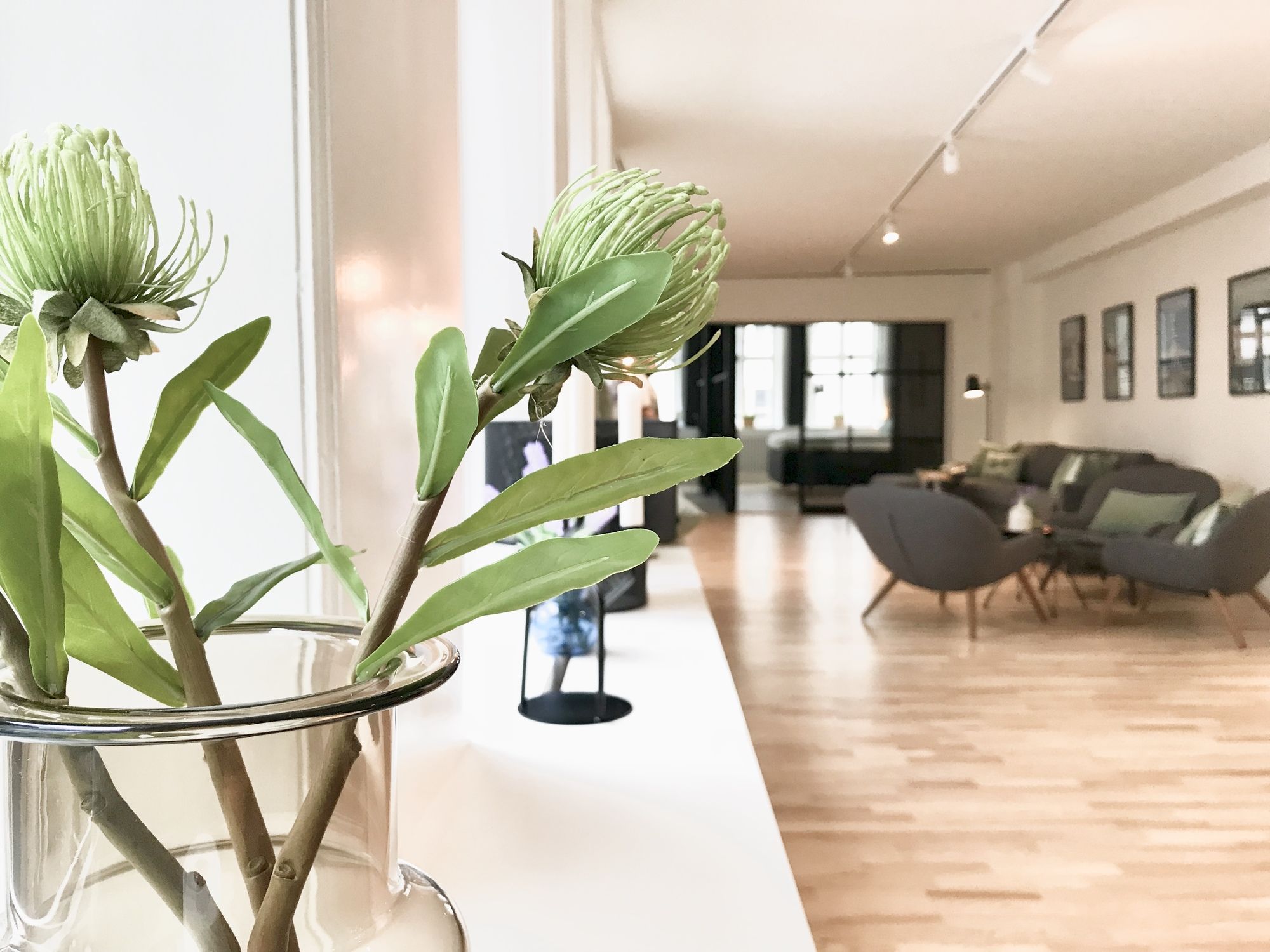 Фото The Nordic Collection IV