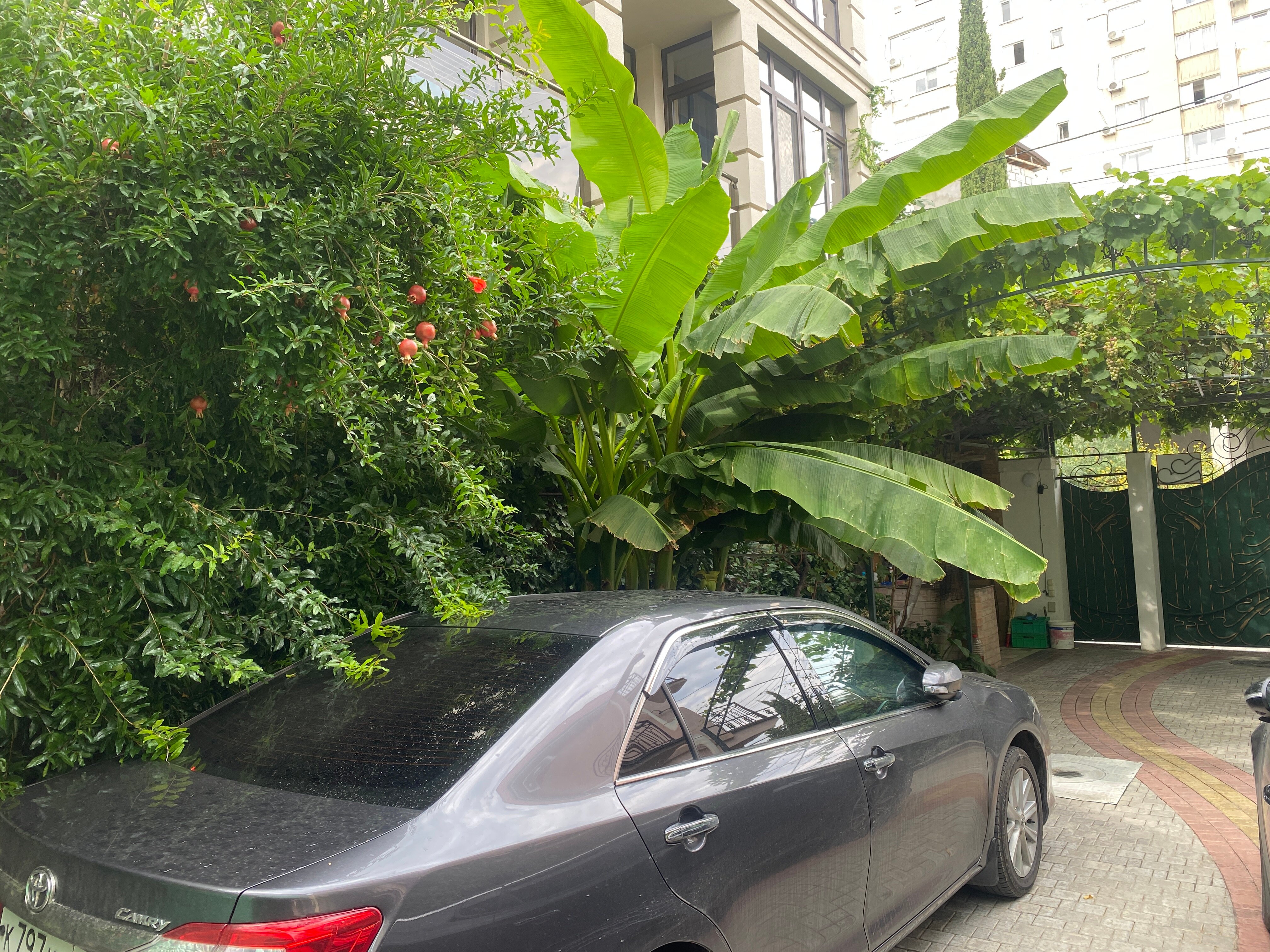 Фото Коктейль