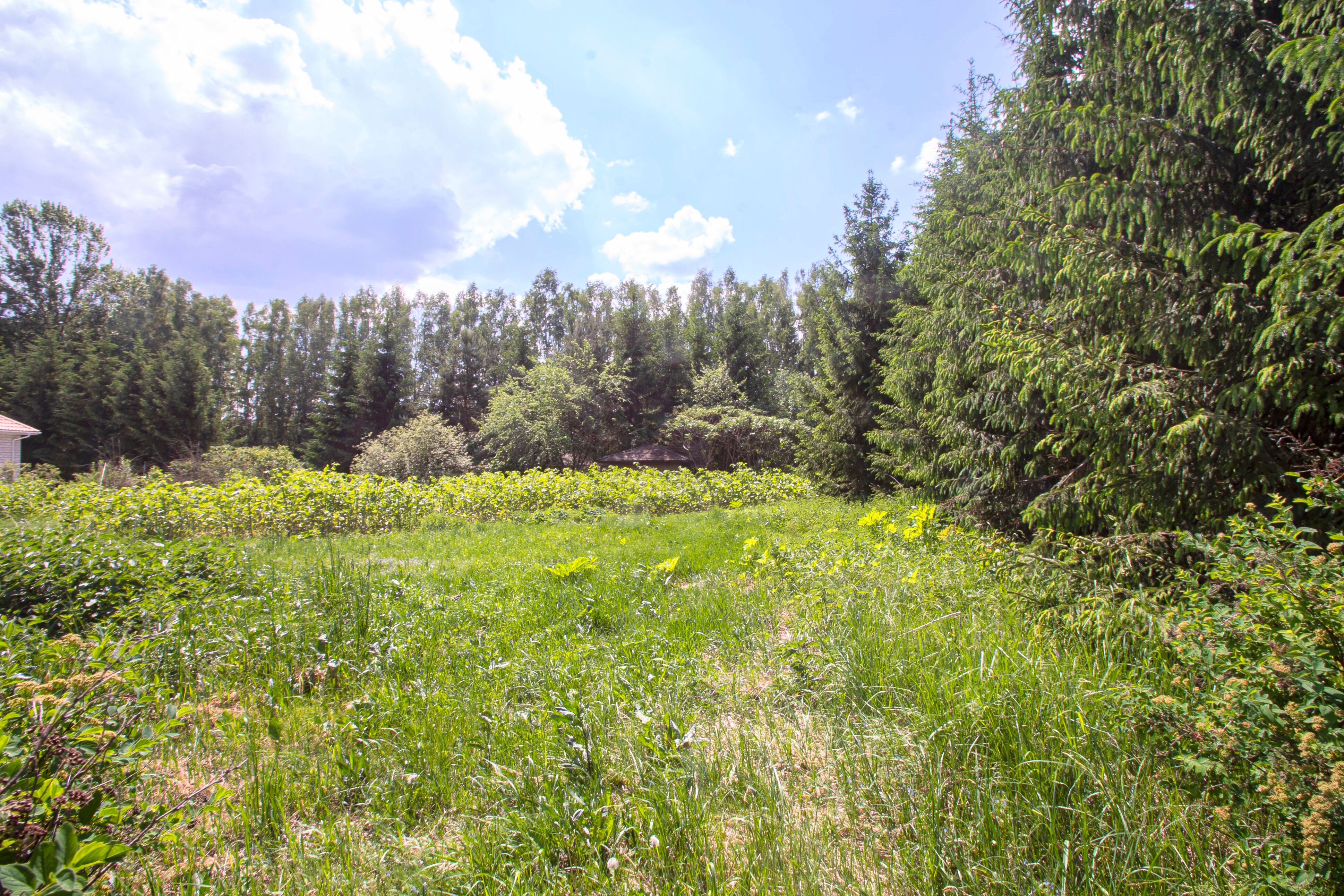 Фото Поле-отель Новая Салынь