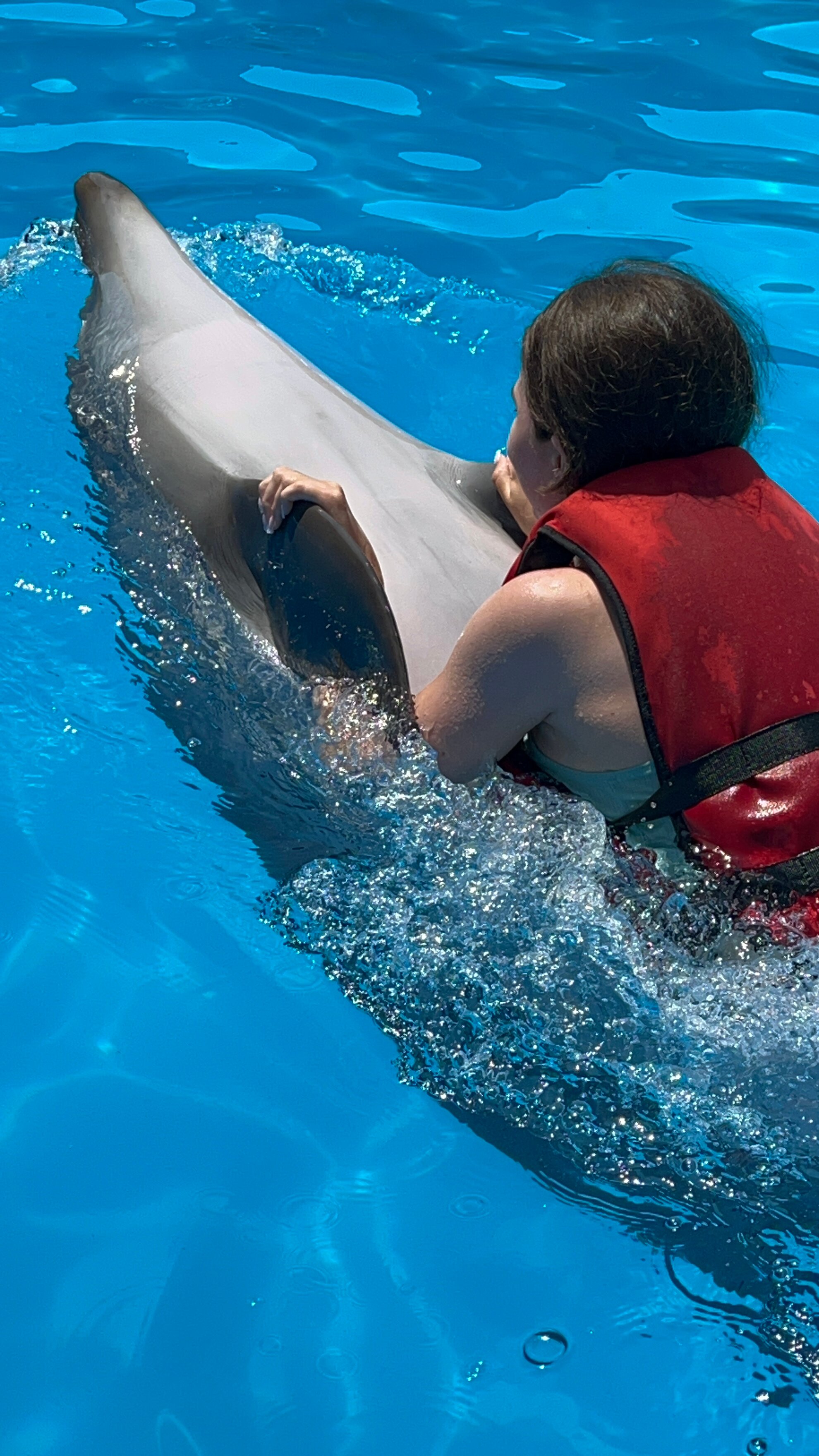 Фото 7 Кипарисов