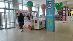 Plombirnaya (Pavlovsky Highway, 251В), ice cream