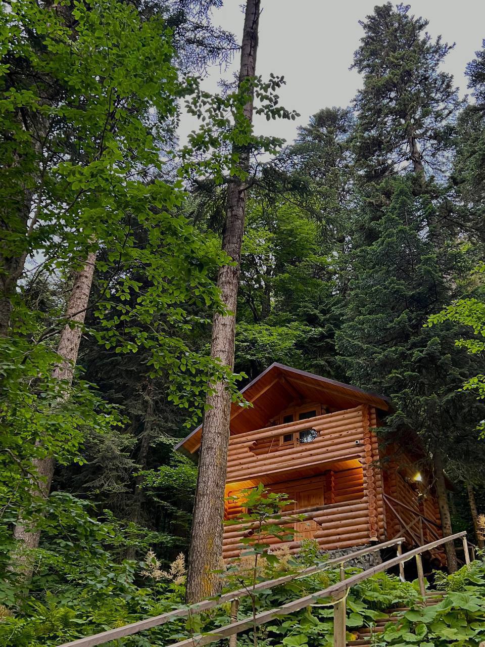 Фото Домик в лесу