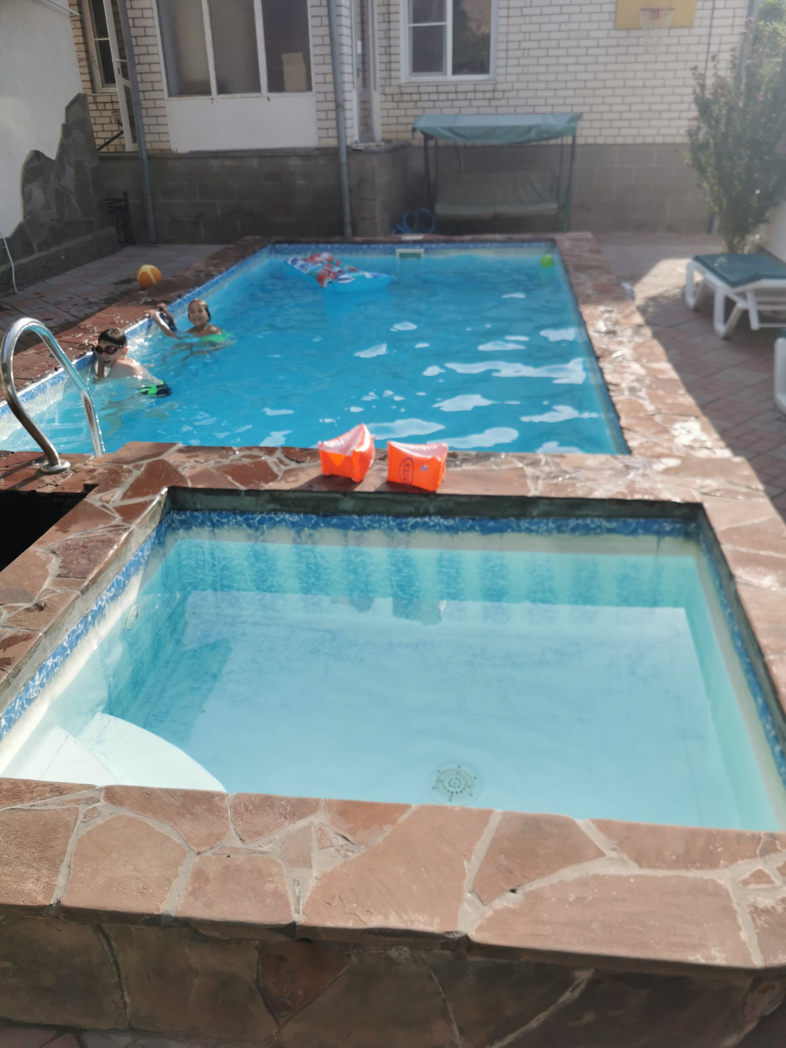 Фото Дельфиния