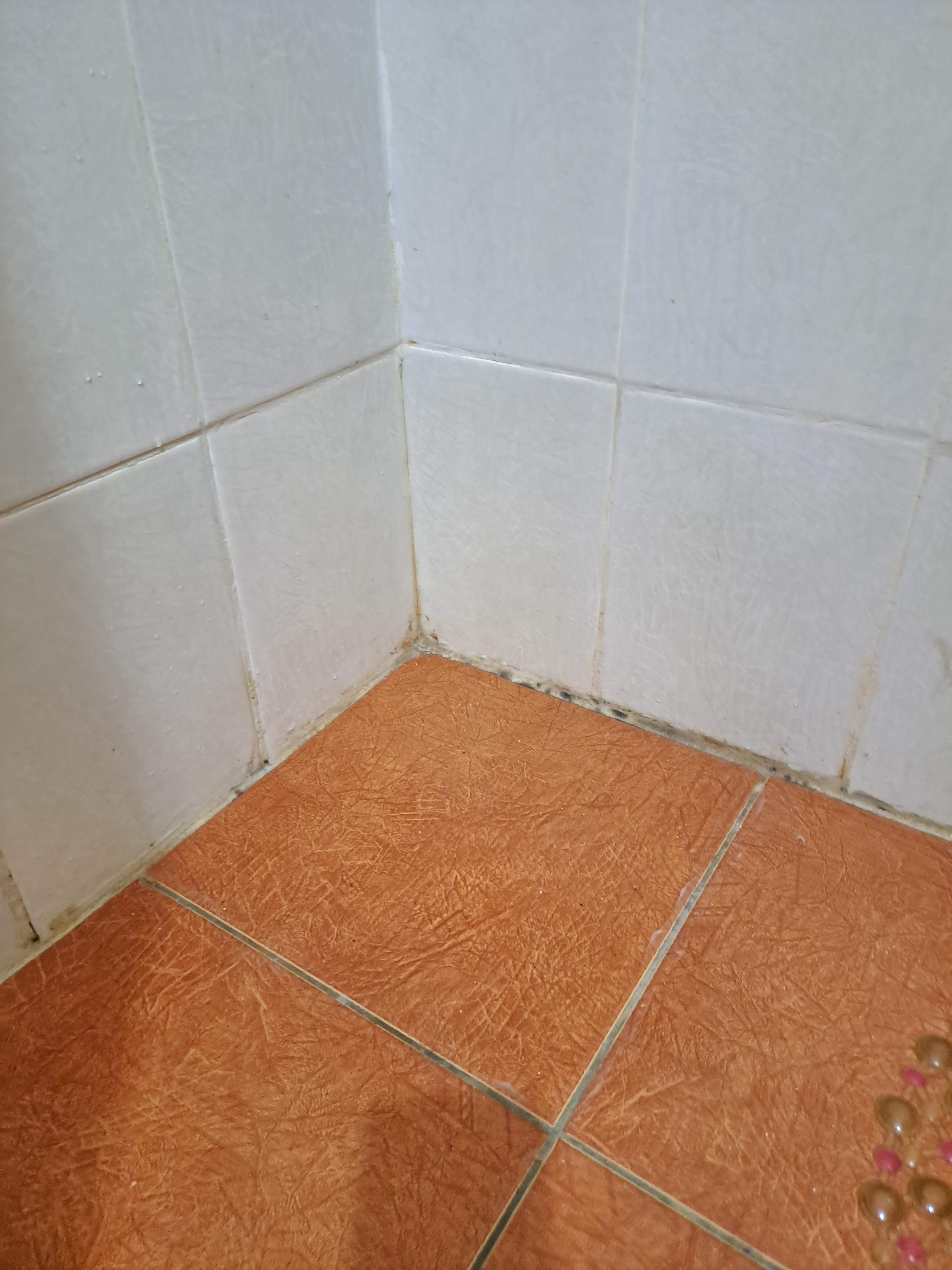 Фото Огни Ейска