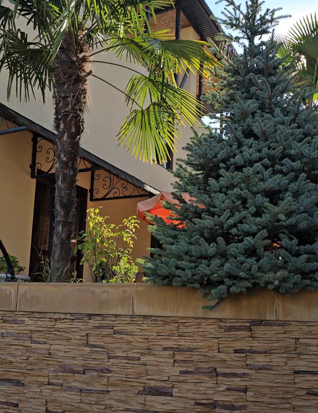 Фото Вилла Камелия