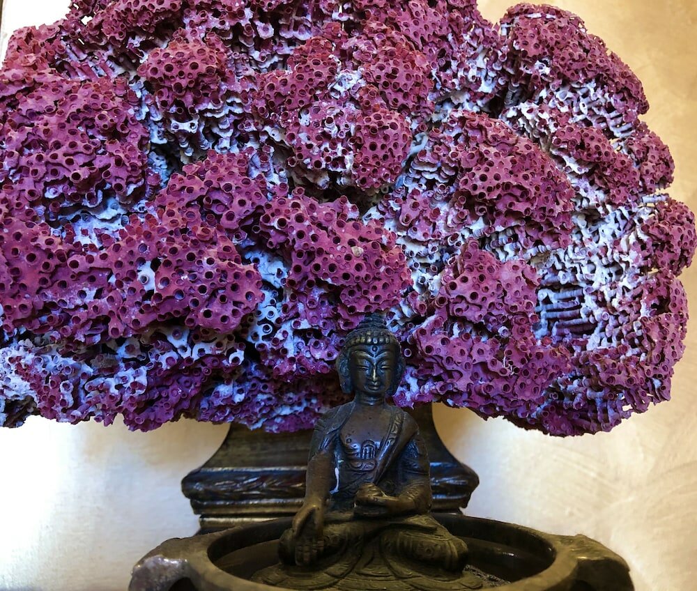 Фото Hotel De La Ville Relais