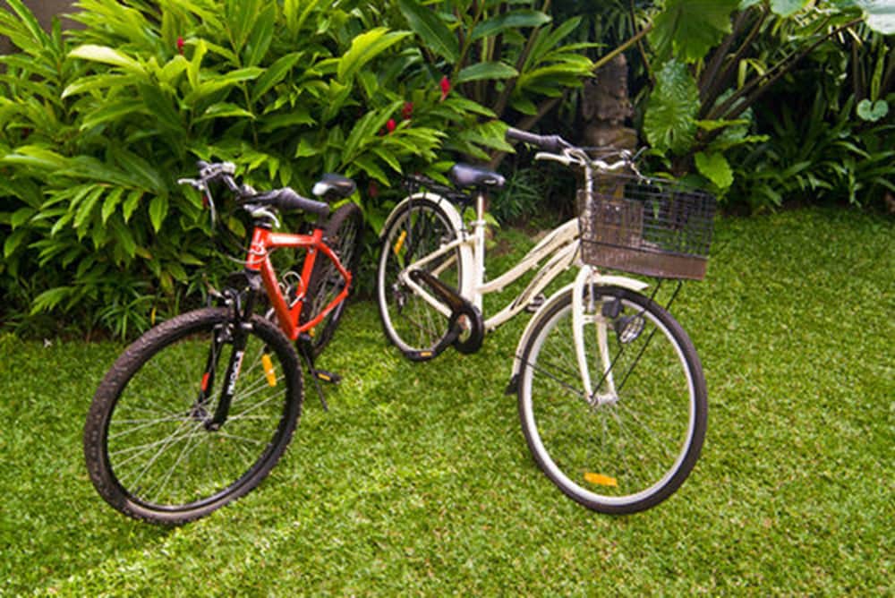 Фото Komea Villa