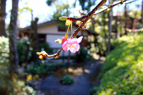 Внешний вид отеля Hanafubuki в Ито, фото 3