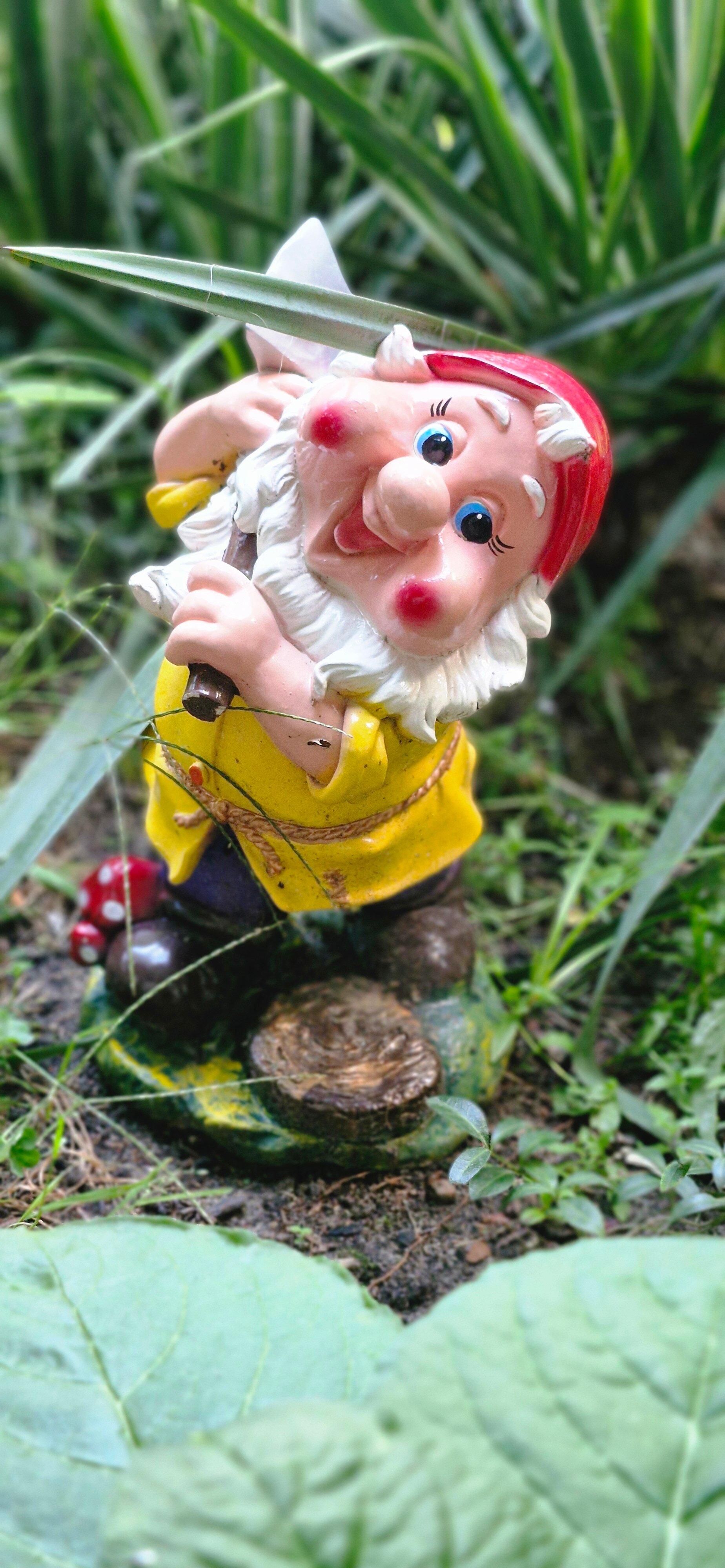 Фото У Ольги