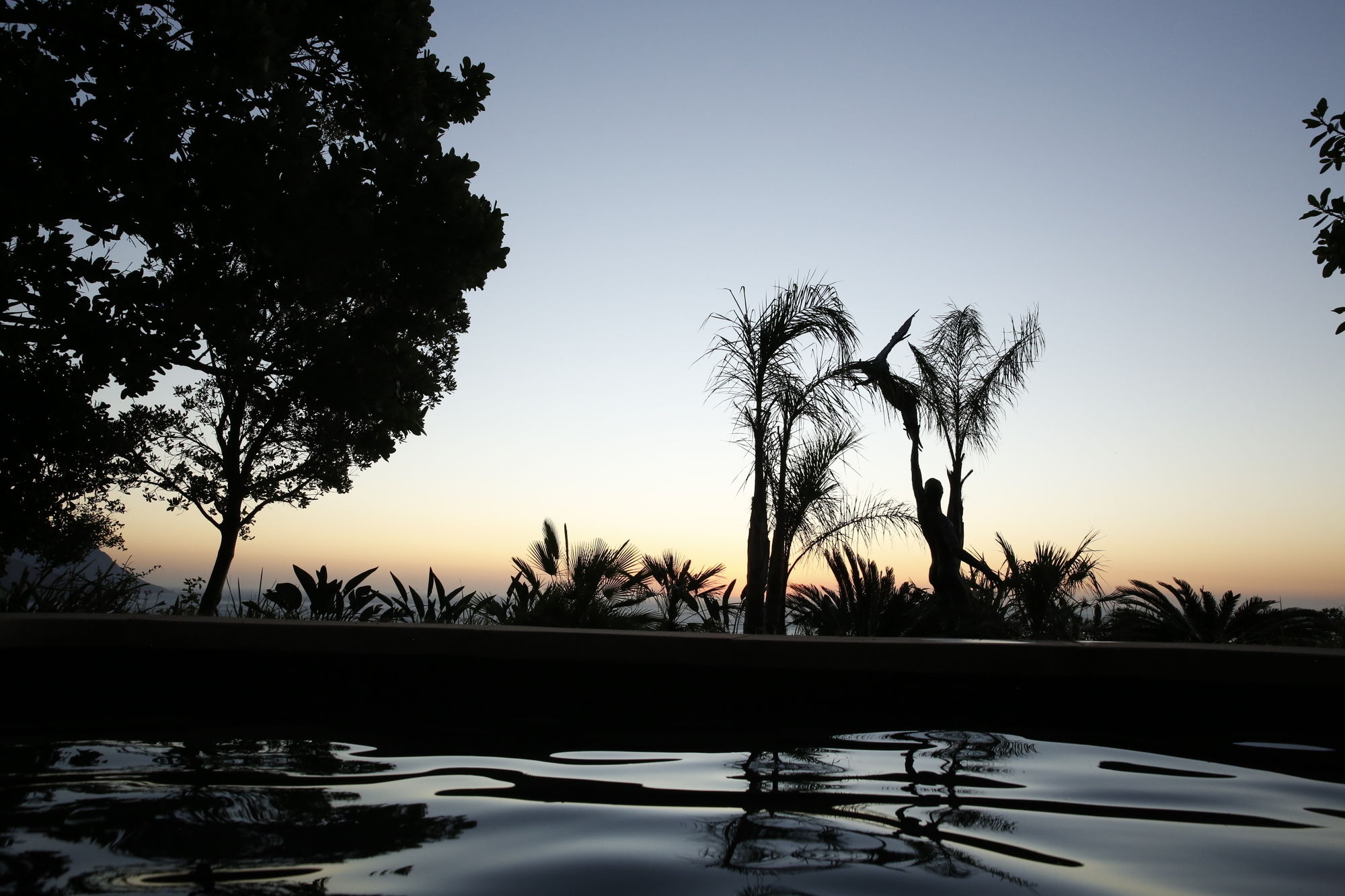 Фото 21 Nettleton