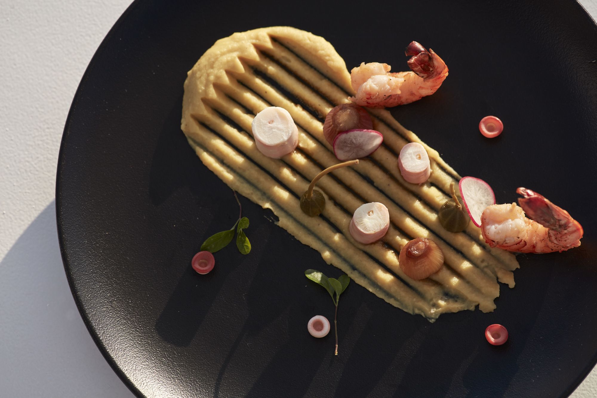 Фото Canaves Sunday