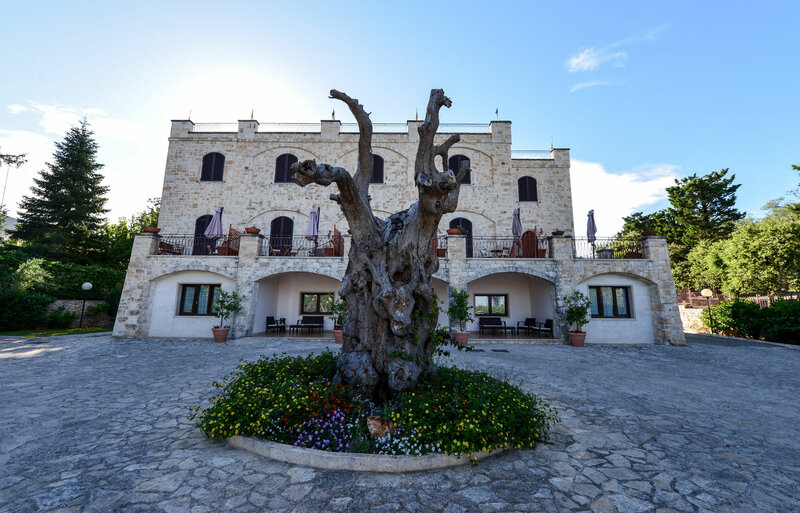 Гостиница Hotel Miramonti
