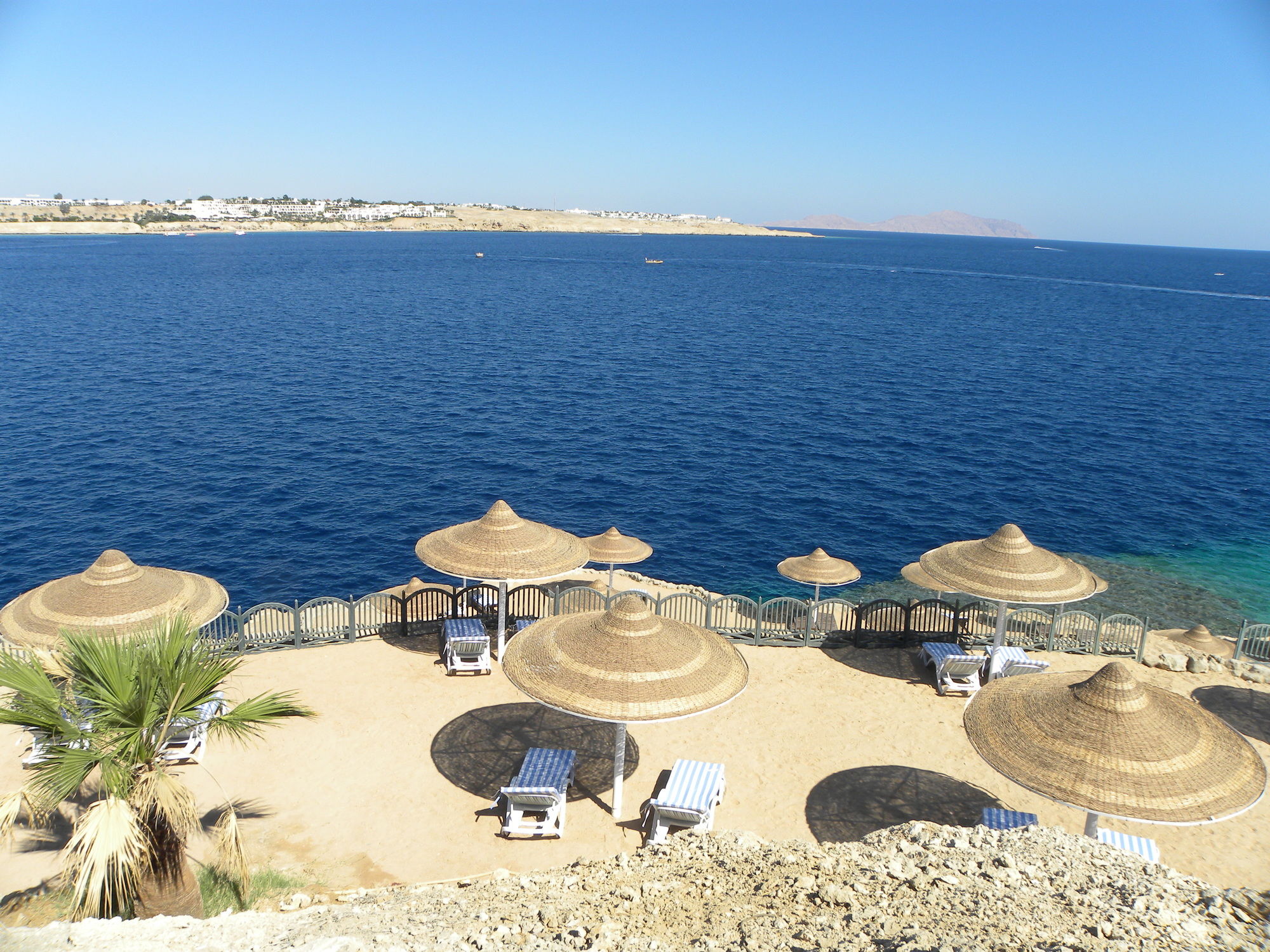 Фото Grand Halomy Resort