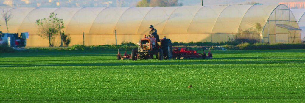 Landscape design Ada Grass, Serdivan, photo