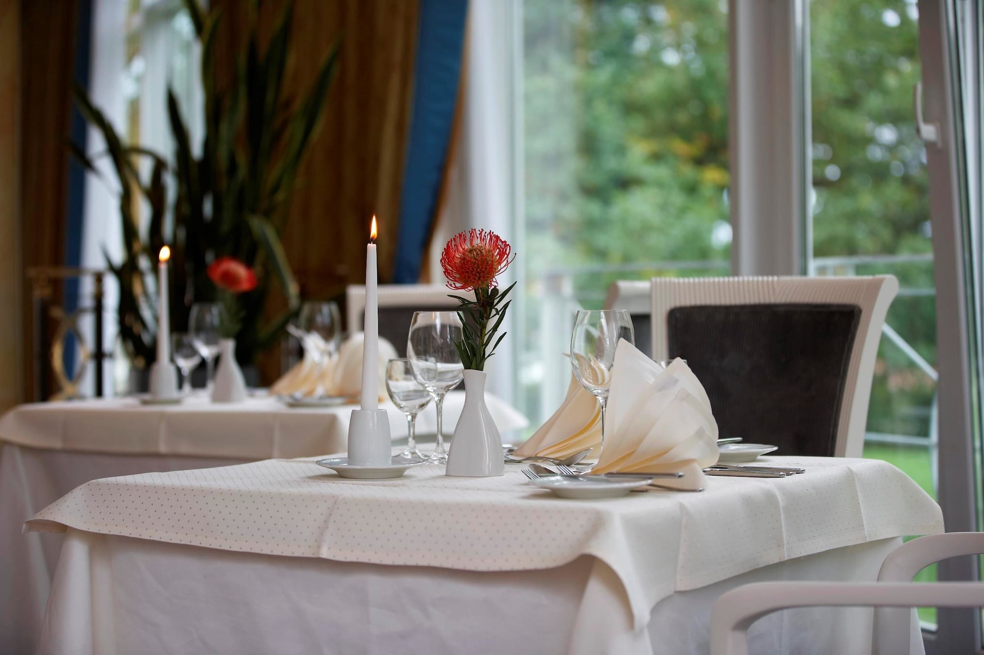Фото Steigenberger Hotel Der Sonnenhof
