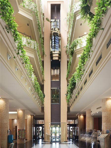 Фото Playacanela Hotel