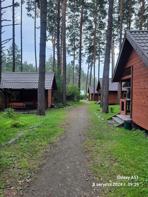 Грин-парк Сосна — фото 45