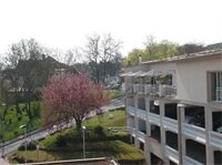 Фото Best Western Hotel Mainz