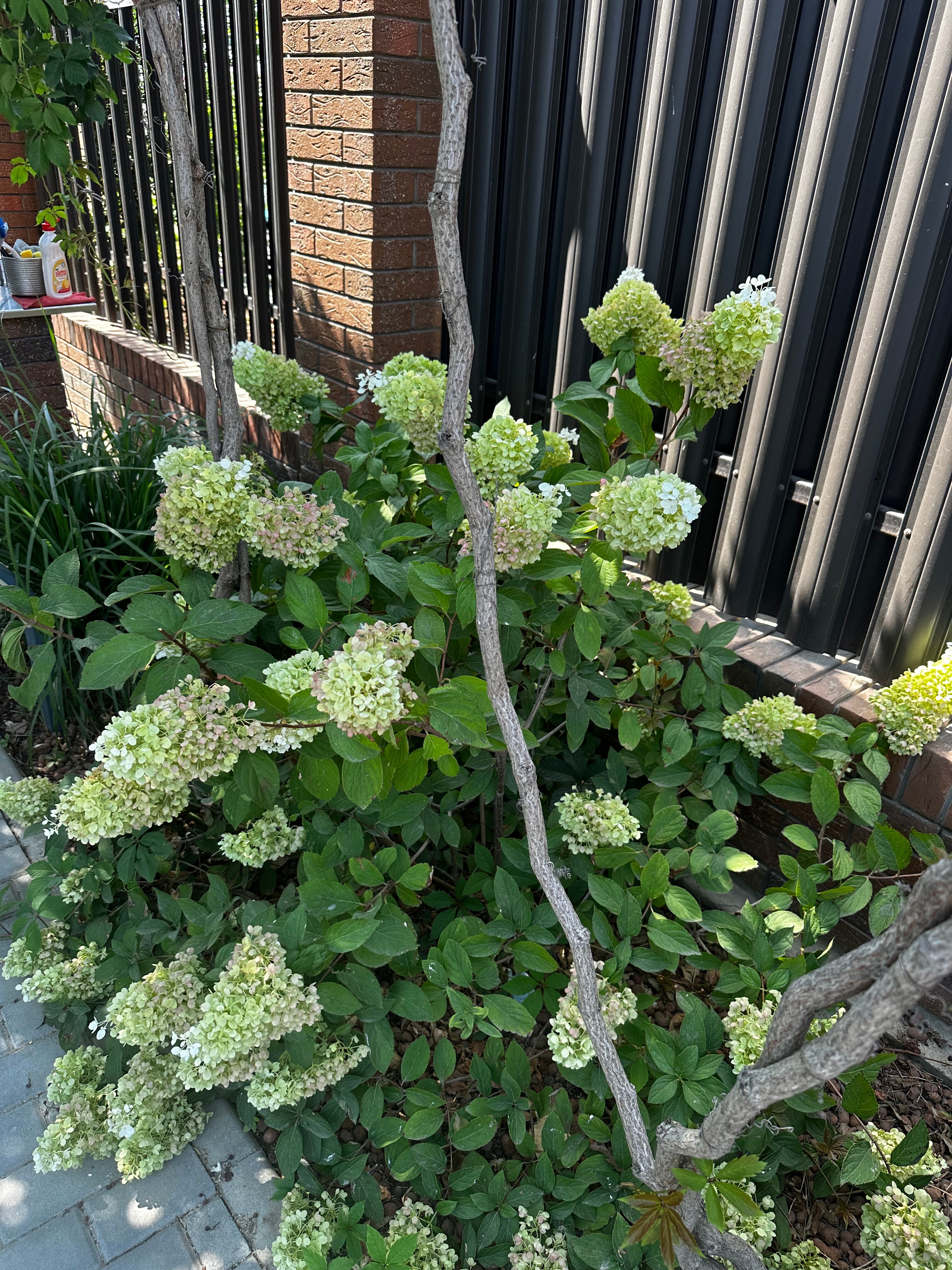 Фото На Волне