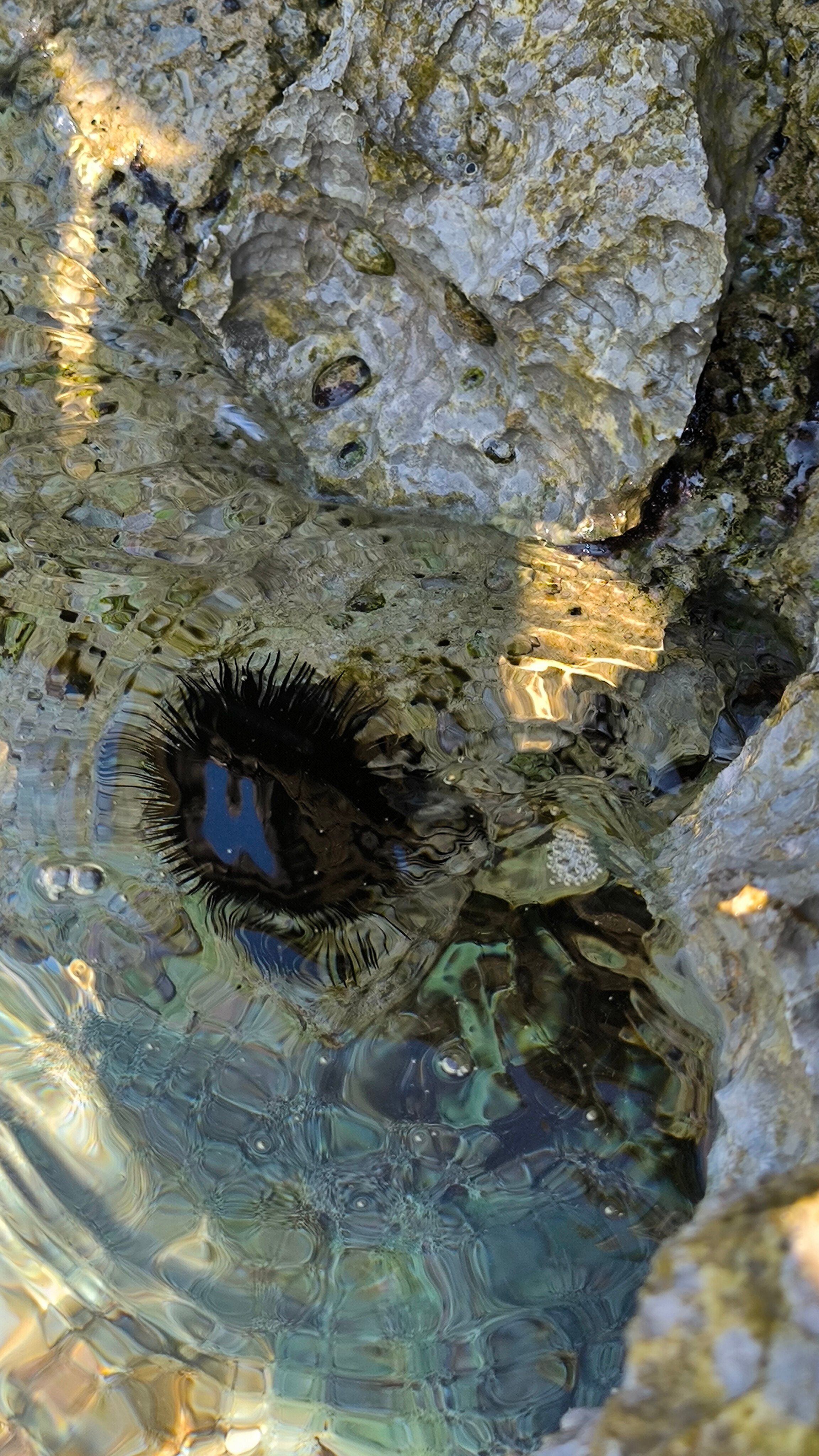 Фото Holiday House Tina Tribunj