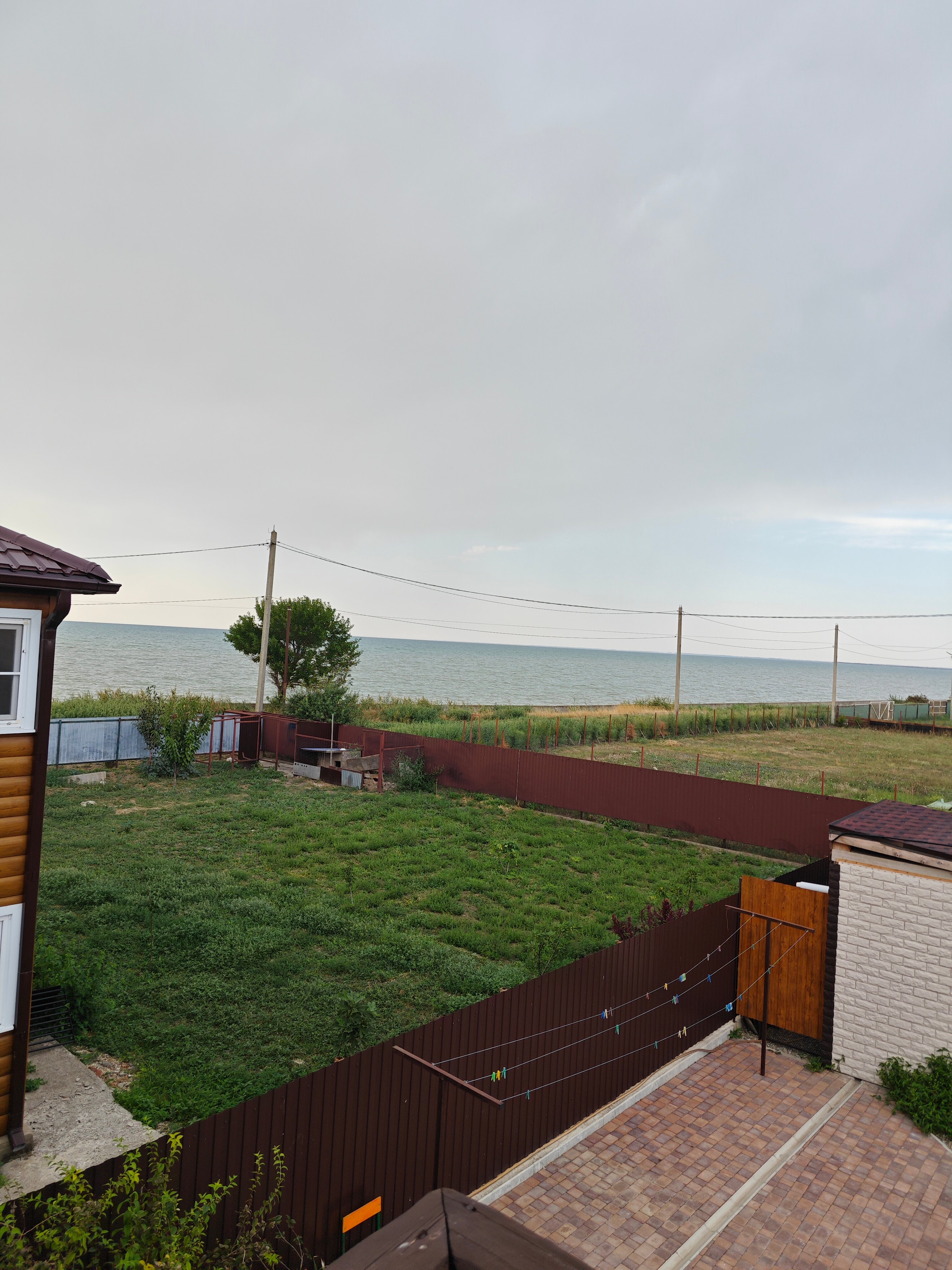 Фото 38 Попугаев