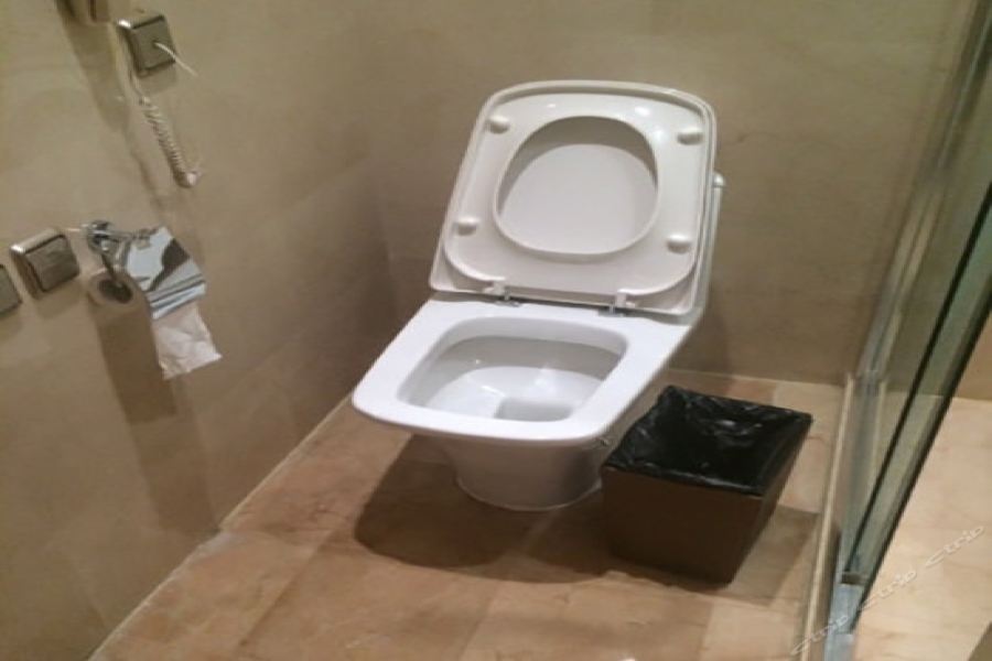 Фото Ritan Hotel Downtown Beijing