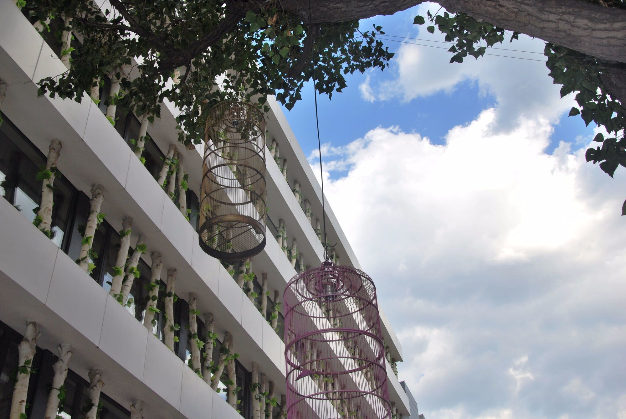 Фото Gotel Capital