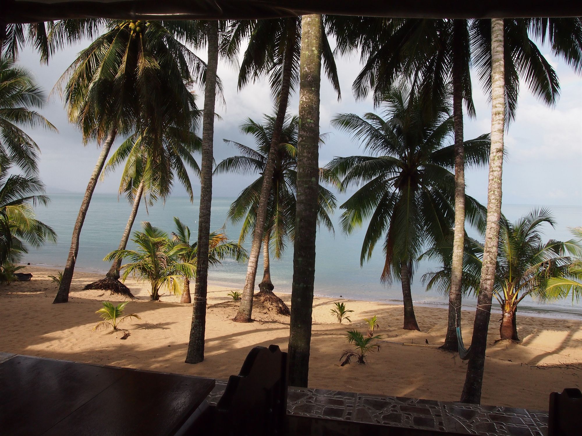 Фото Palm Point Village