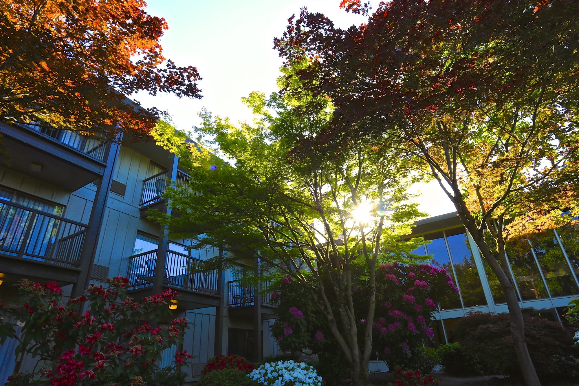 Фото Valley River Inn