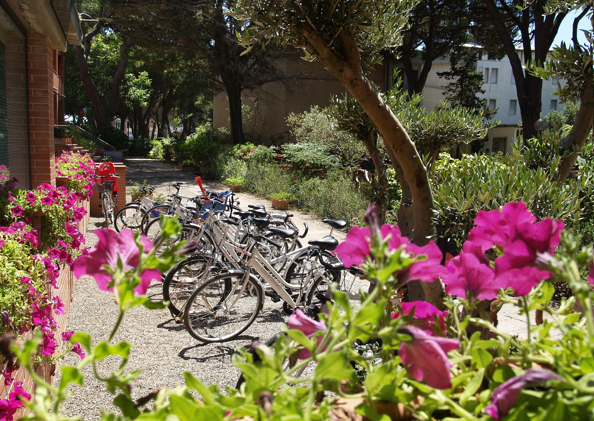 Фото Ricci Hotel