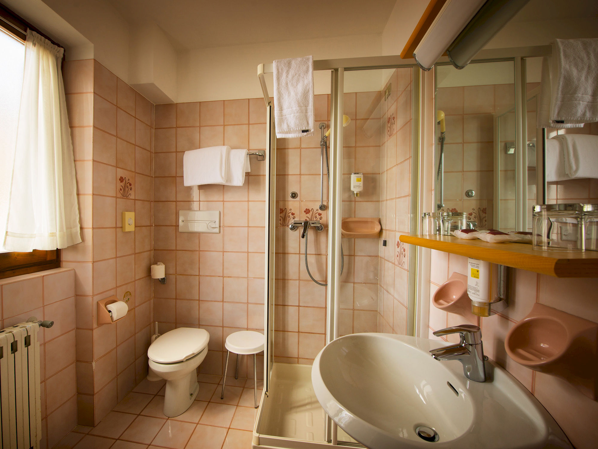 Фото Th San Pellegrino Moena - Monzoni Hotel