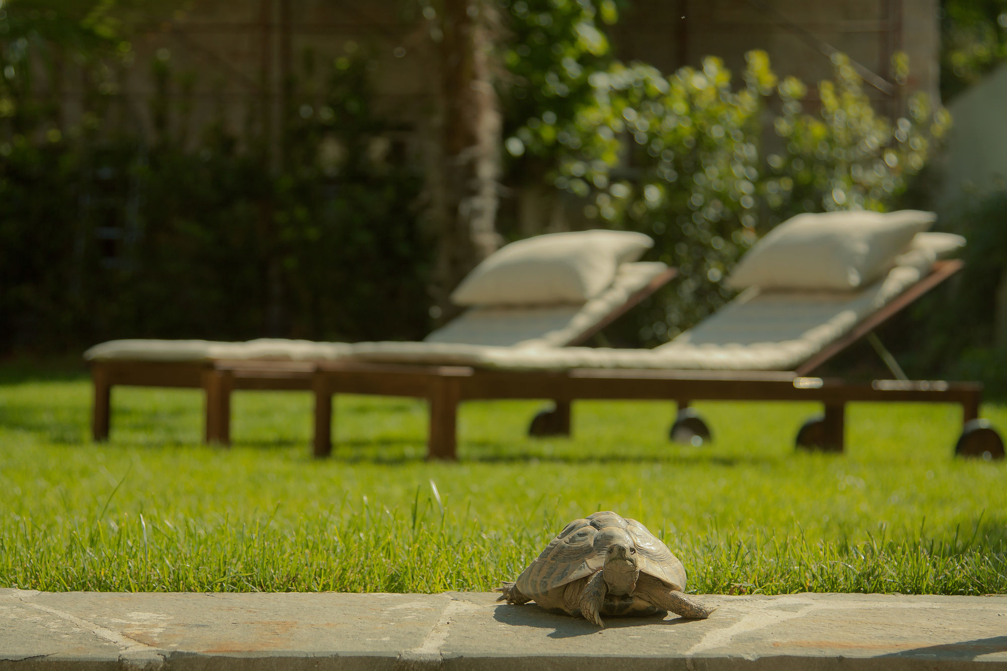 Фото Relais la Corte di Cloris