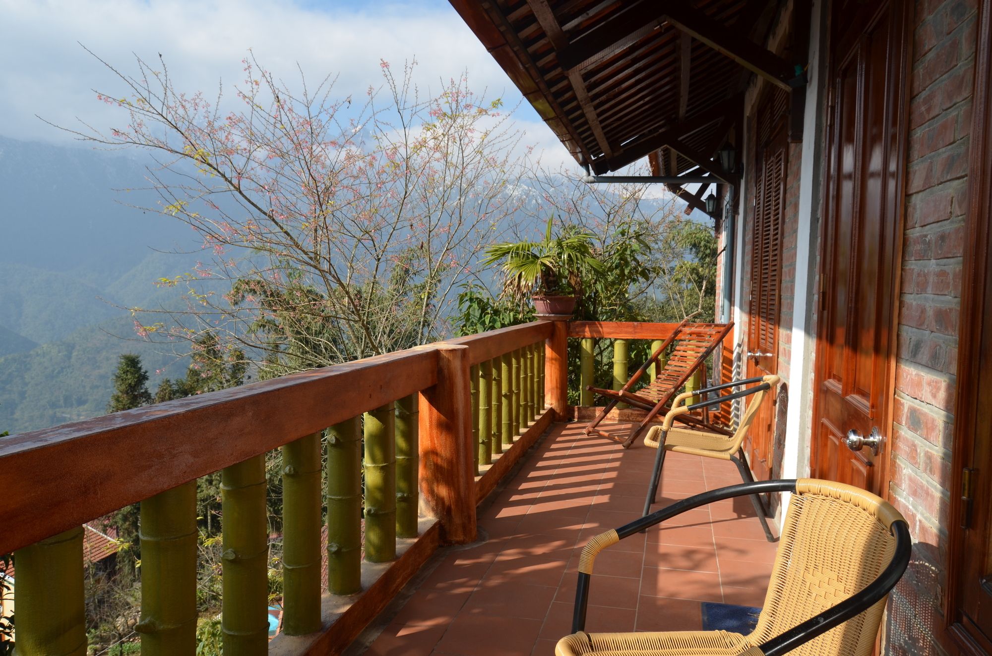 Фото Cat Cat View