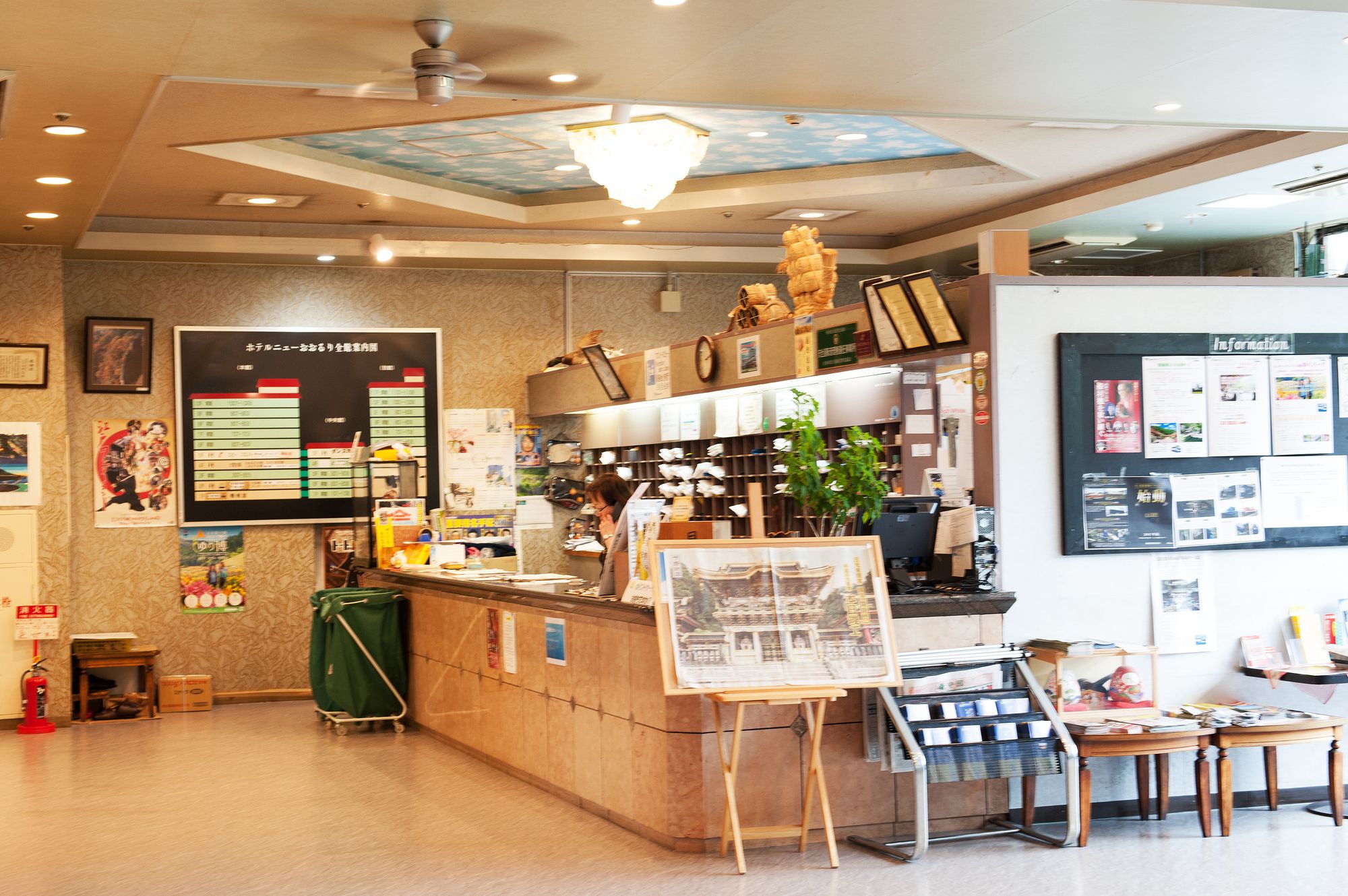 Фото Hotel New Ohruri