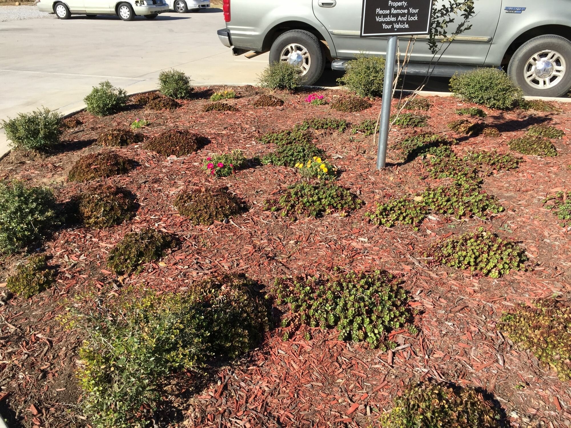 Фото Sleep Inn & Suites