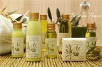 Фото Bellevue House