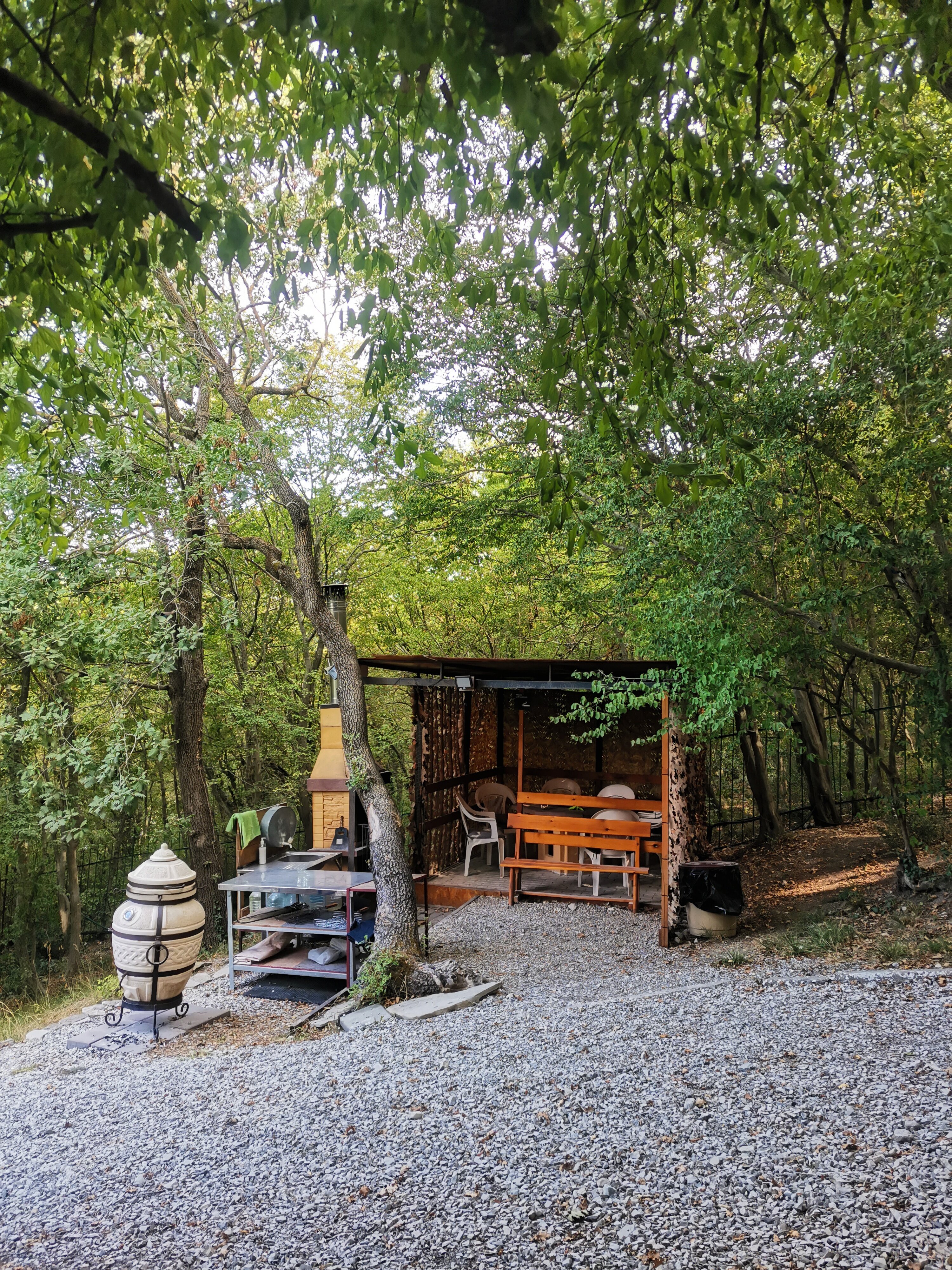 Фото Бегом к нам