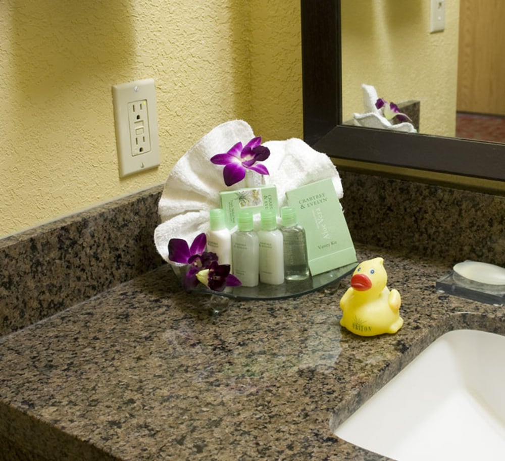 Фото Airtel Plaza Hotel