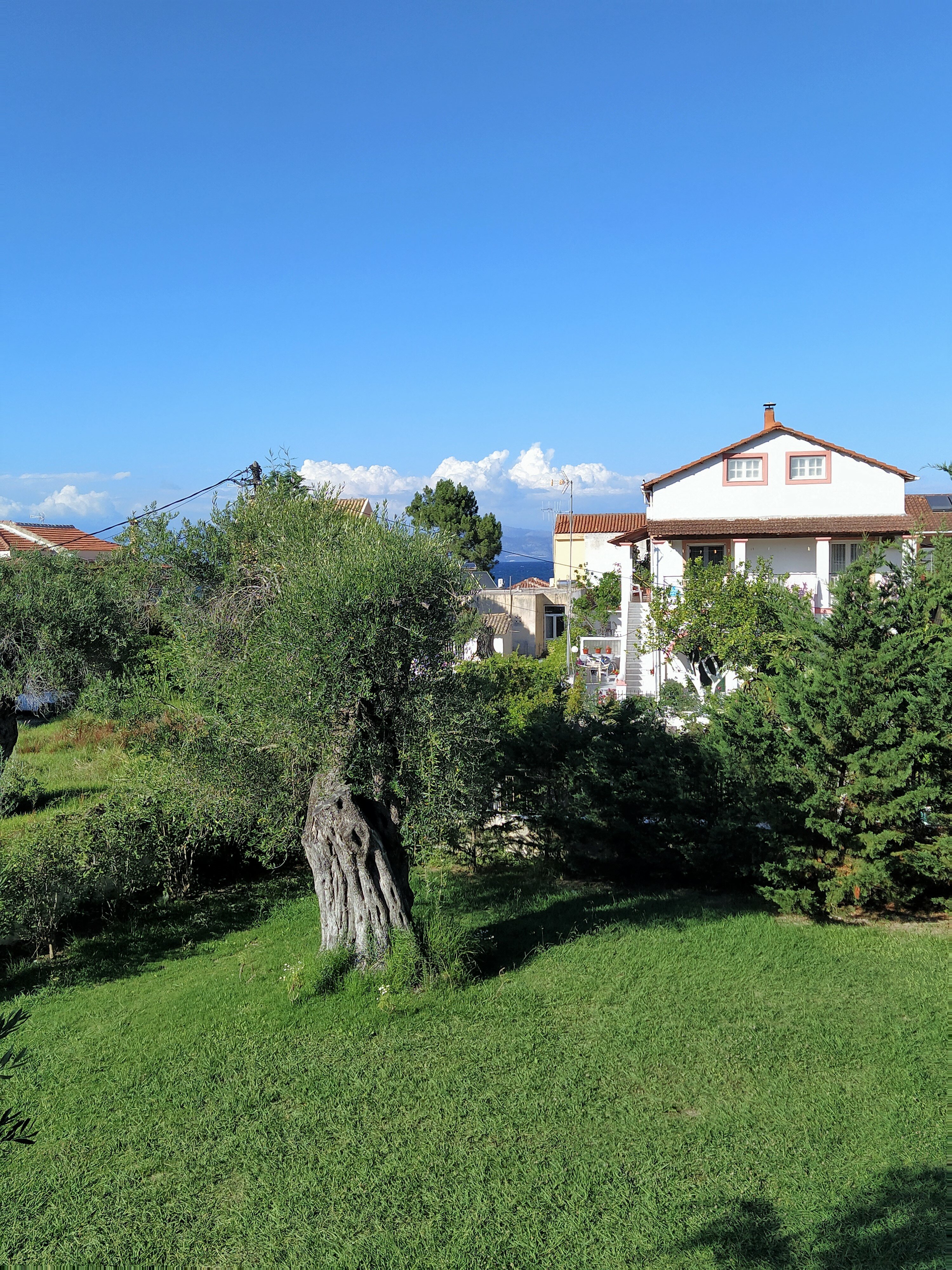 Фото Апарт-отель Ever Green